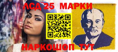 гидропоника Дубна
